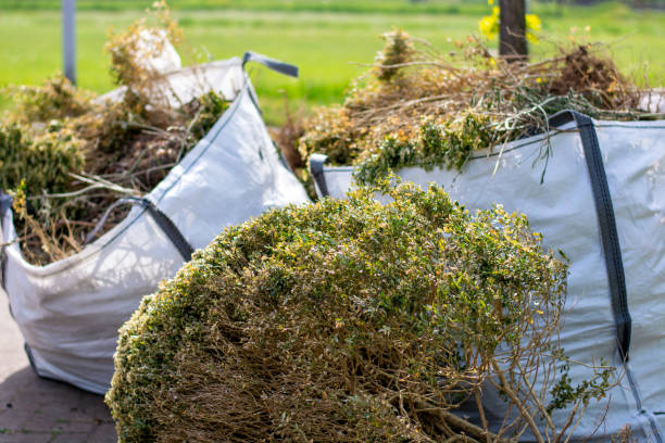 Best Recycling Services for Junk  in South Elgin, IL